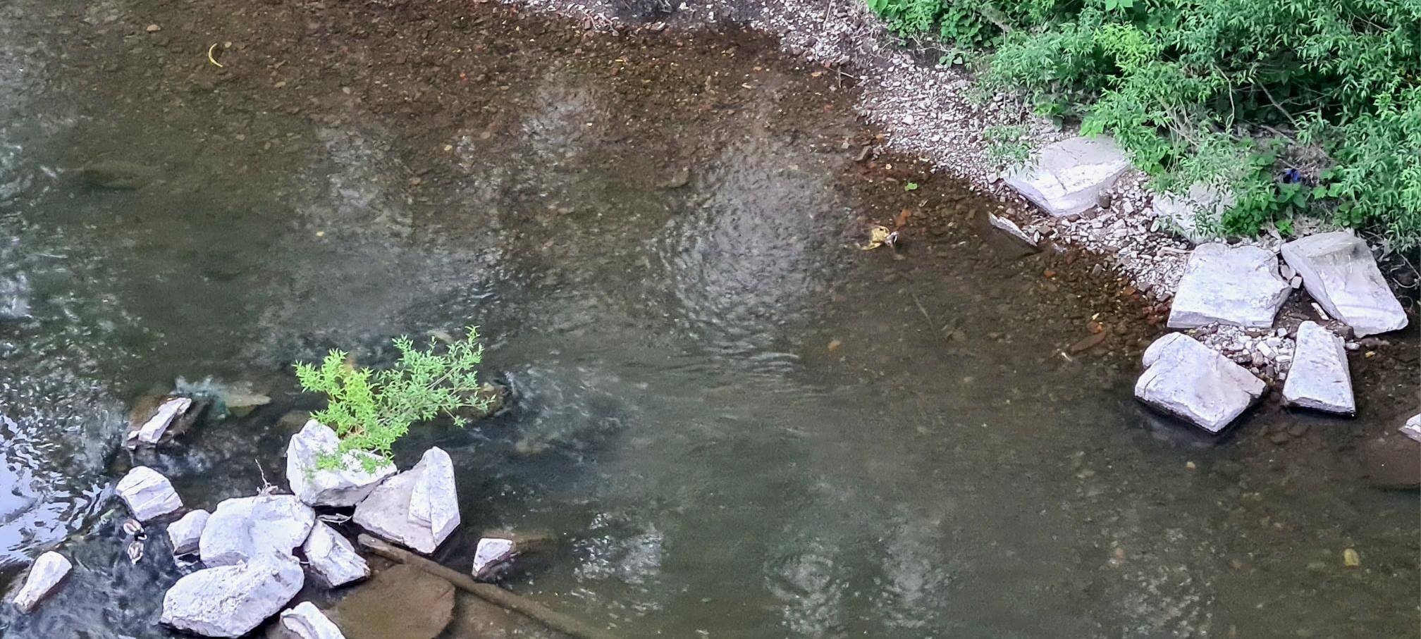 Weiße Steine in der Wupper