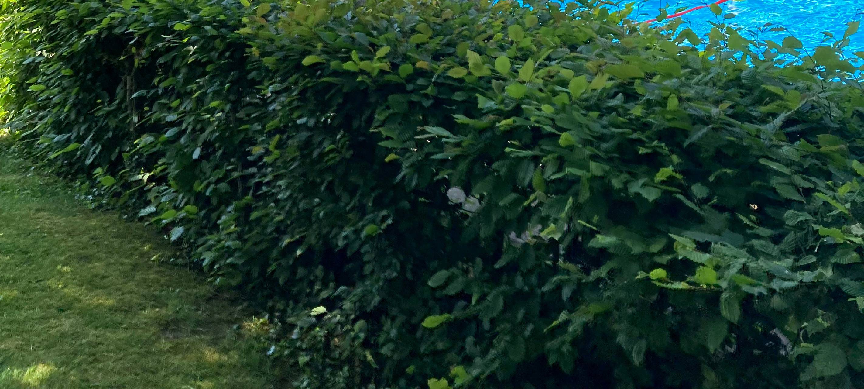 ELBA-Talk im Freibad Eckbusch