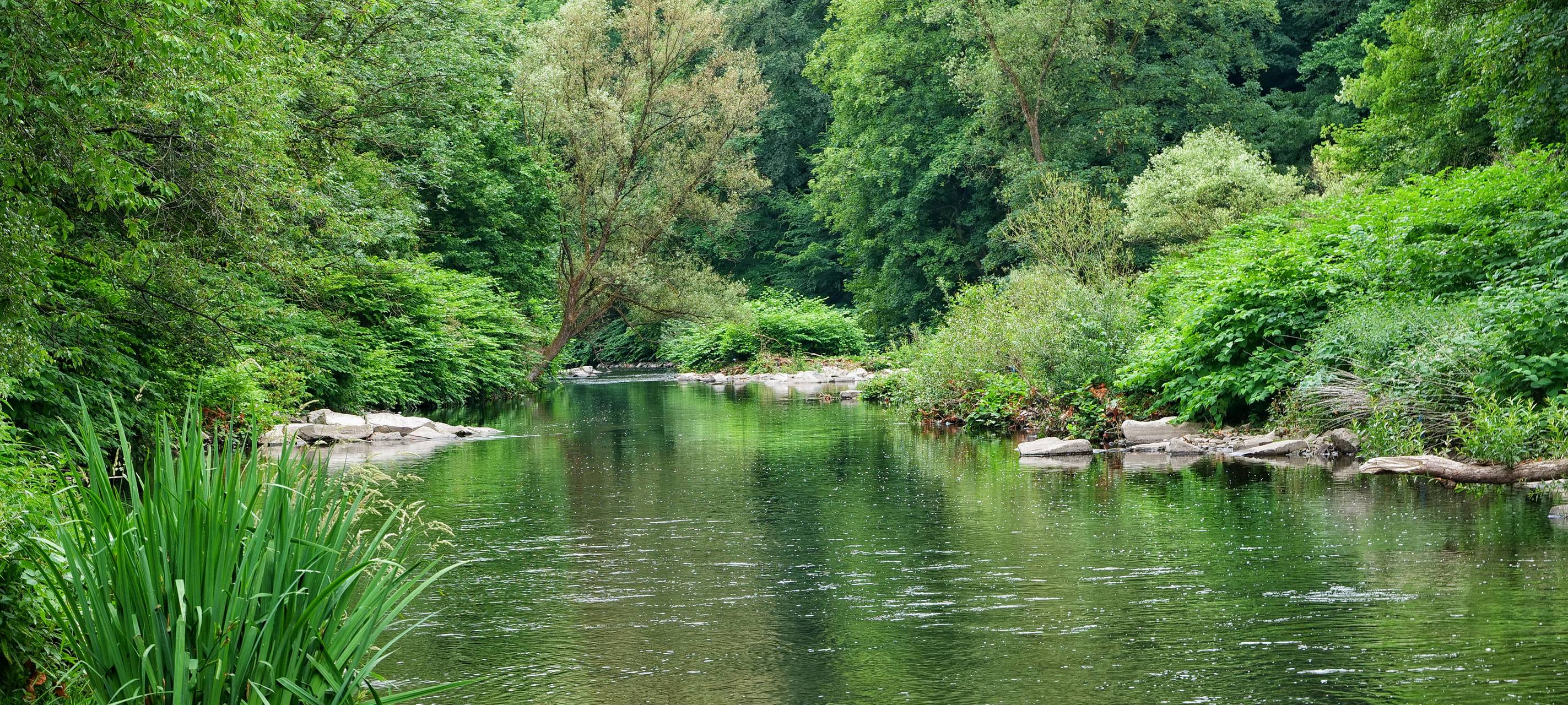Ermittlungen nach tödlichem Unfall mit Kanu