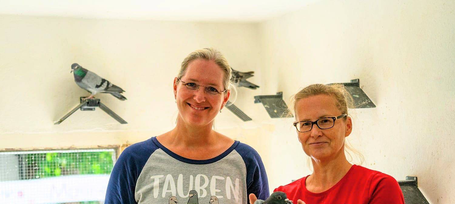 Fliegende Schönheiten e.V.