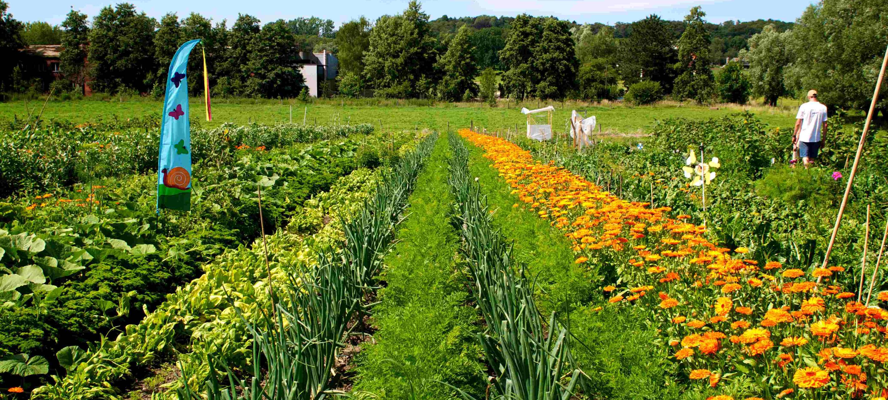 Garten zur Miete