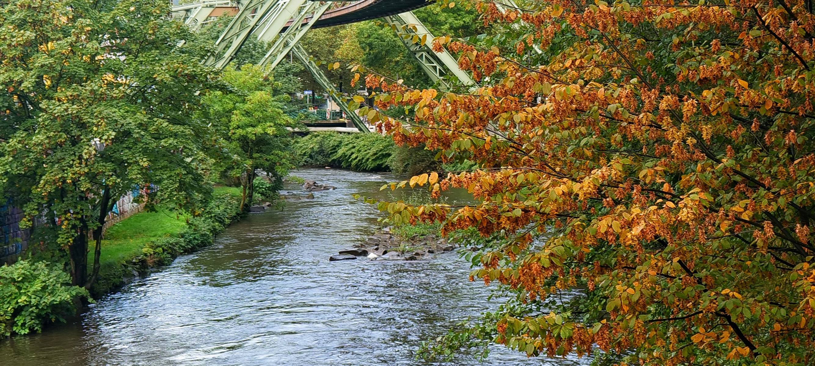 Schwebebahn steht: Probleme beim Fahrstrom