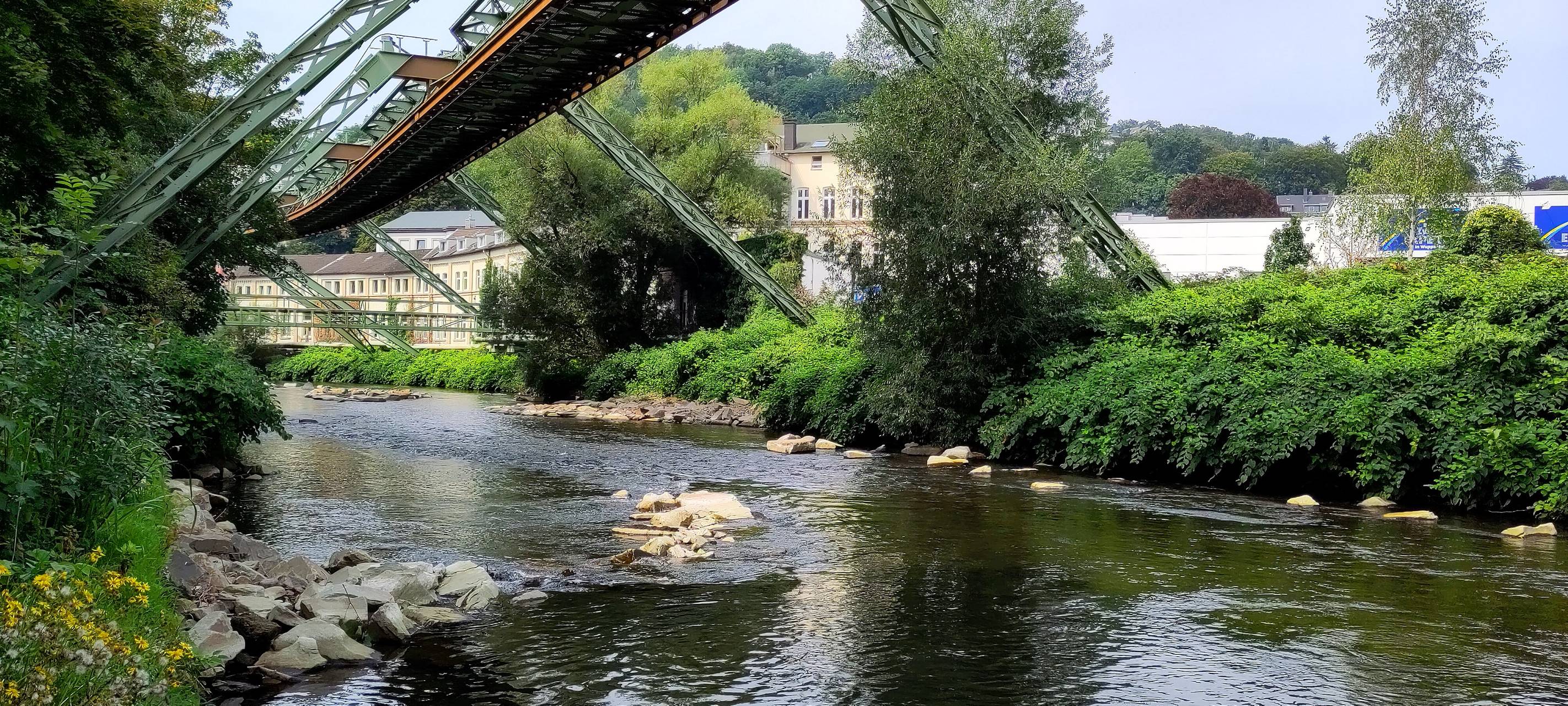 Wupper-Naturierung 2023 beendet