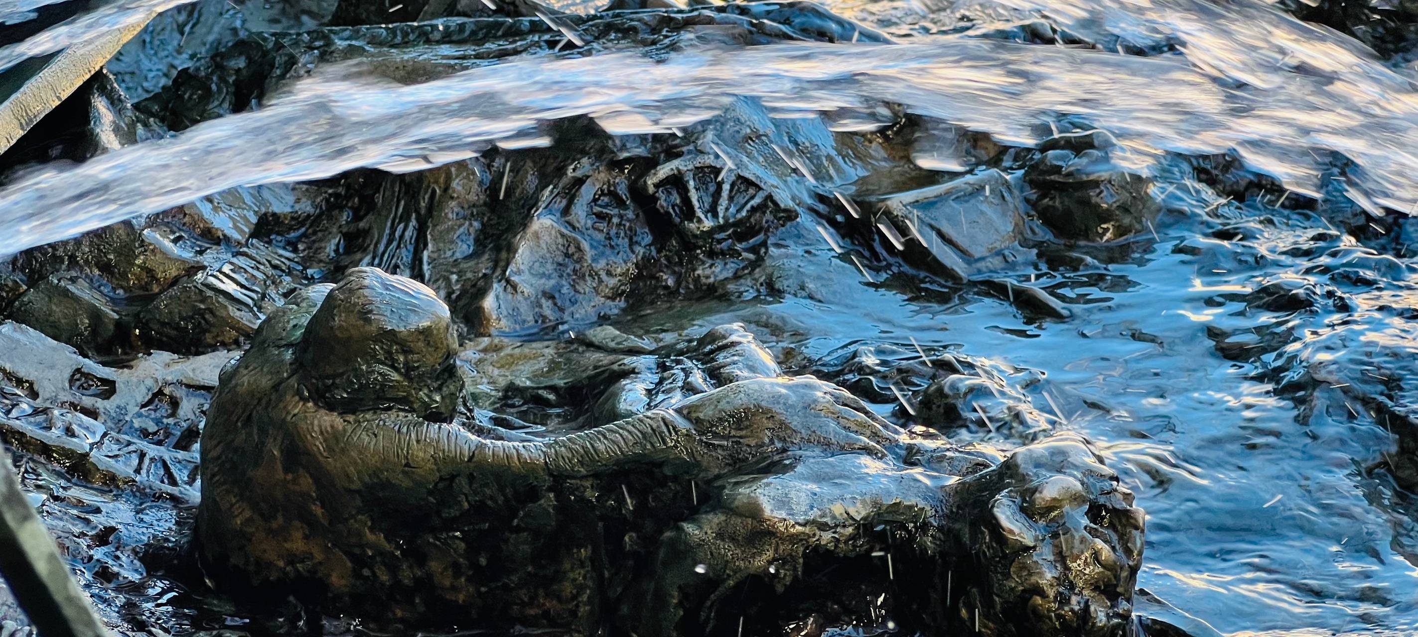 Wuppertaler Fotopreis verliehen