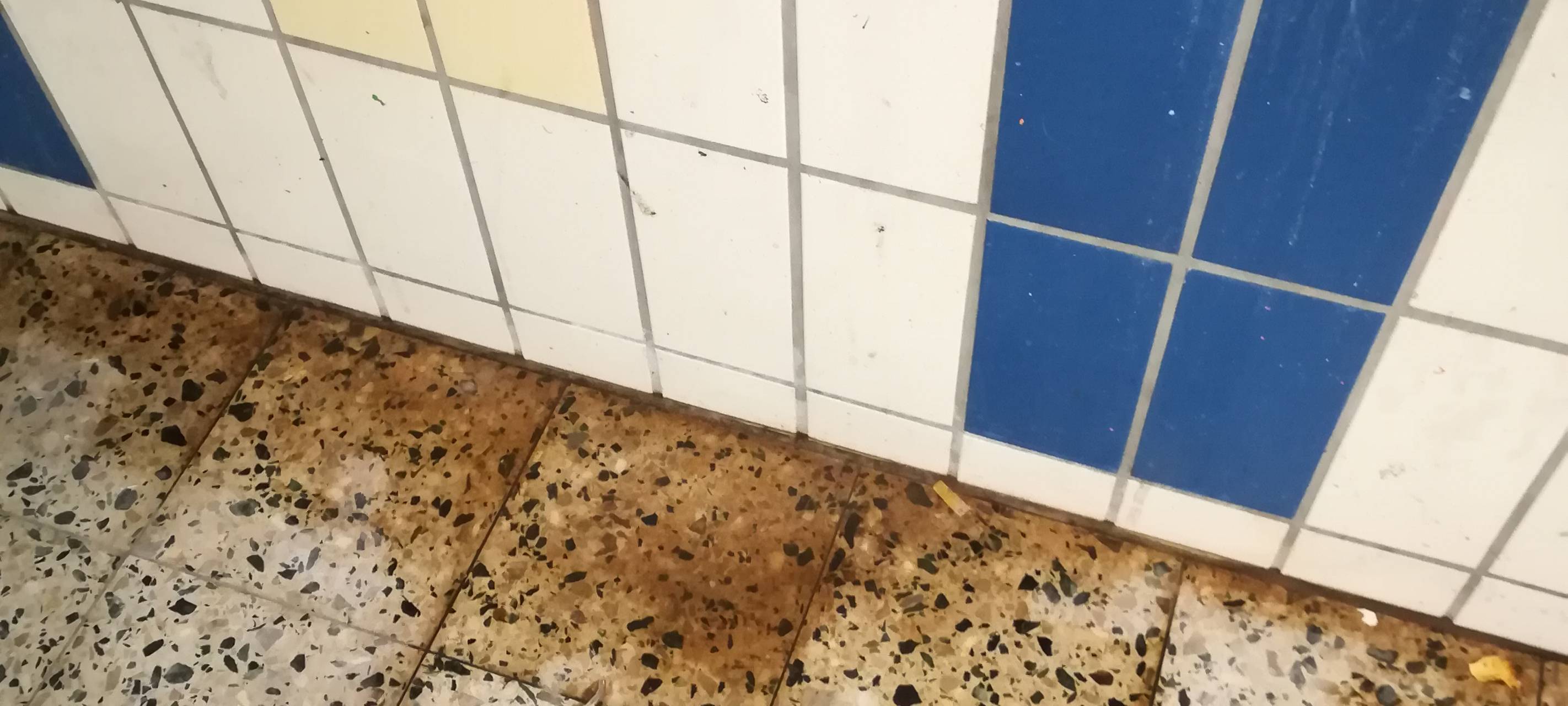 Nase zu und durch: Bahnunterführungen in Wuppertal