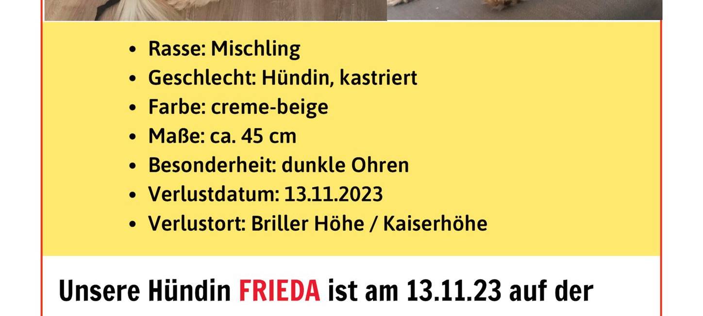Hündin Frieda wird an der Kaiserhöhe vermisst