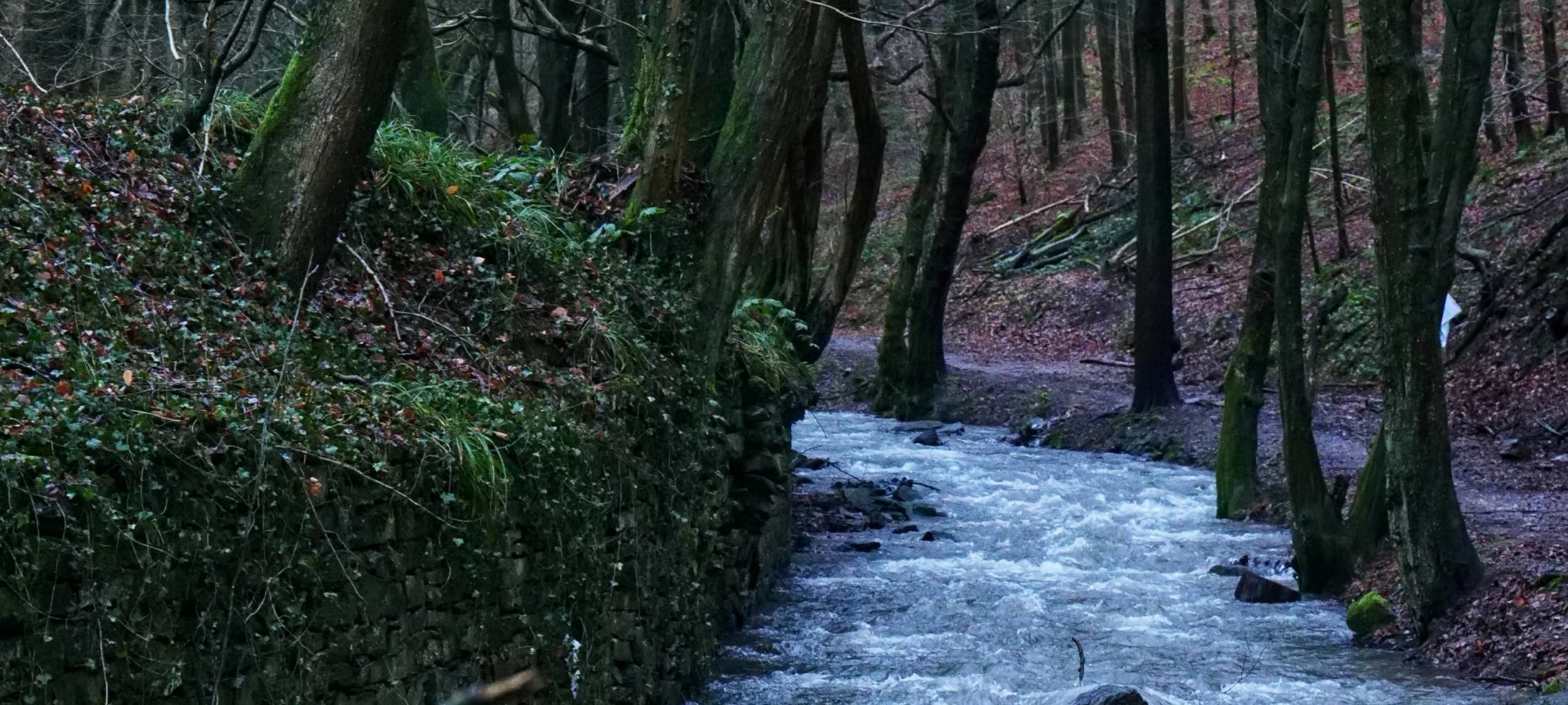 Gedenken an Opfer des Burgholz-Massakers 1945