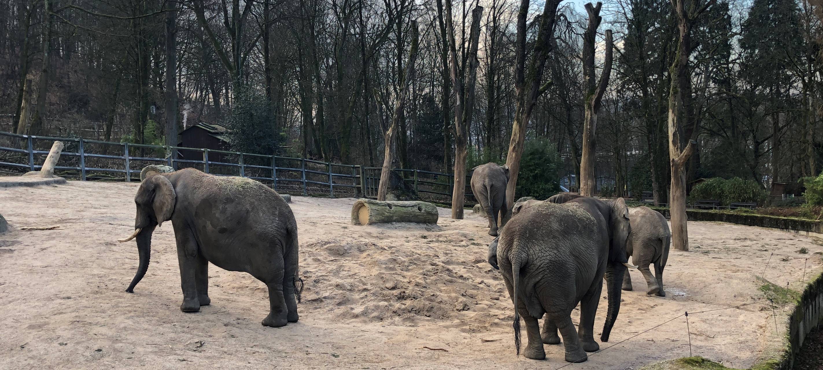 Zoo: Die Kälte ist eine Herausforderung