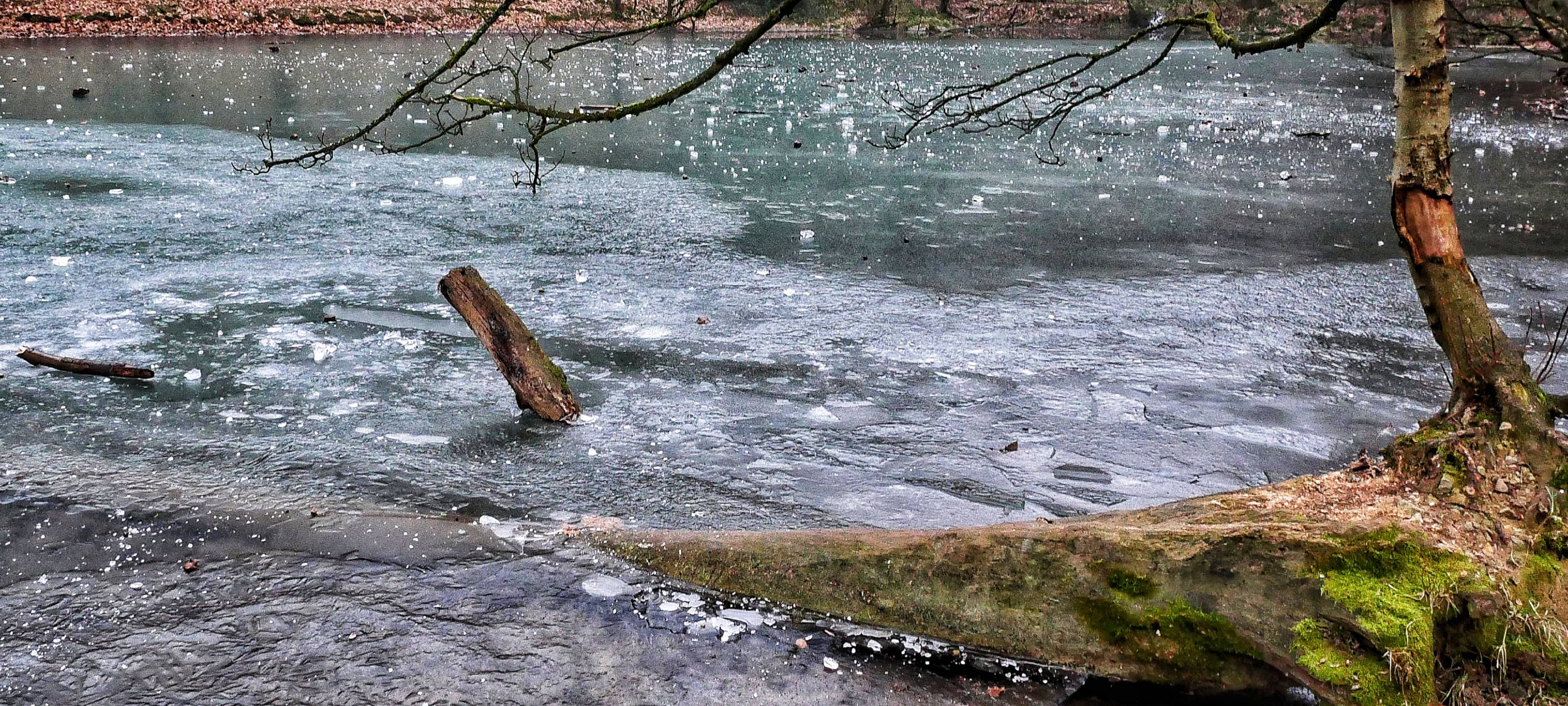 Zoo zu, Straßen glatt