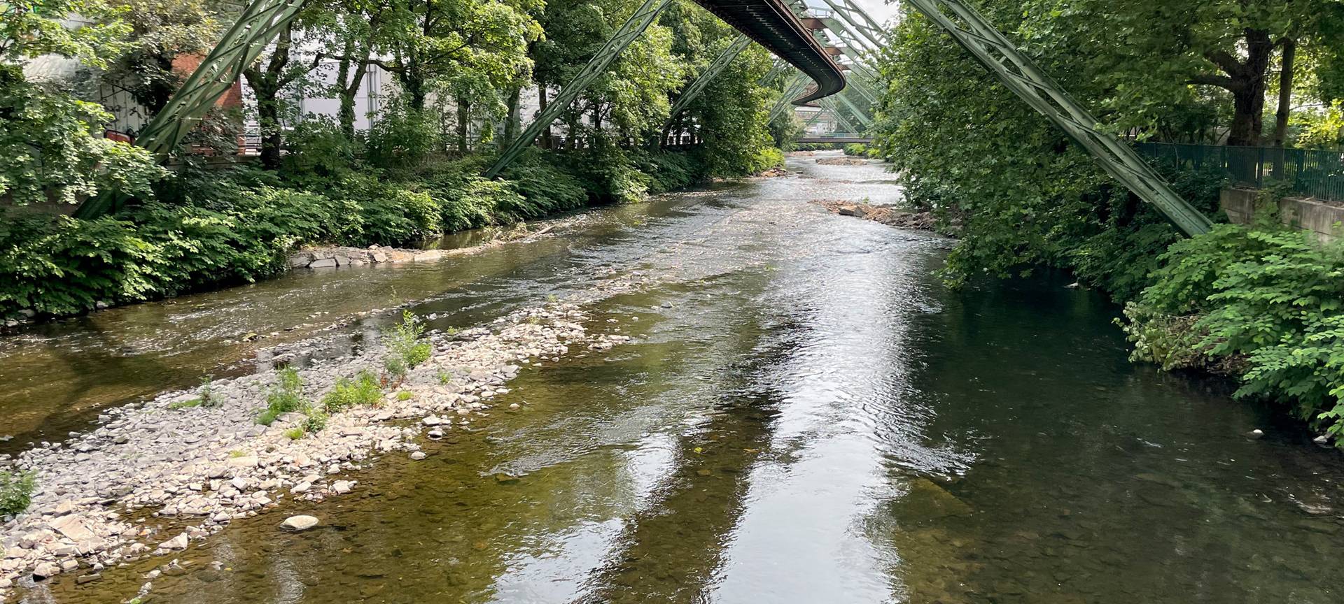Mehr Flussabschnitte werden natürlicher