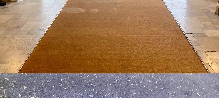 Kokosfußmatte im Opernhaus sorgt für Ärger