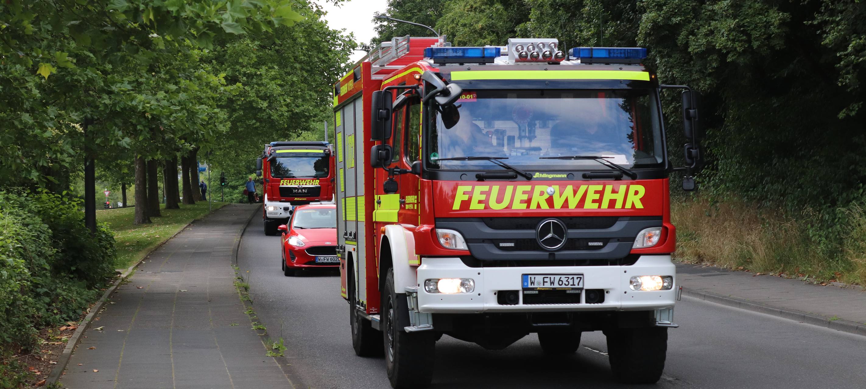 Ast stürzt auf drei Menschen - leicht verletzt