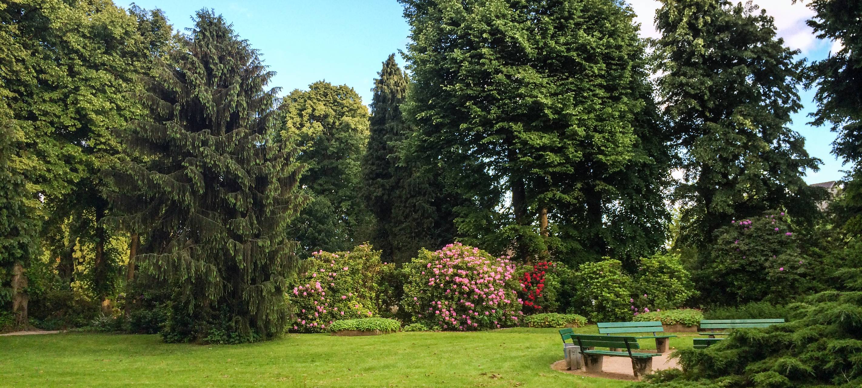 Neue Baumschutzsatzung für Wuppertal?