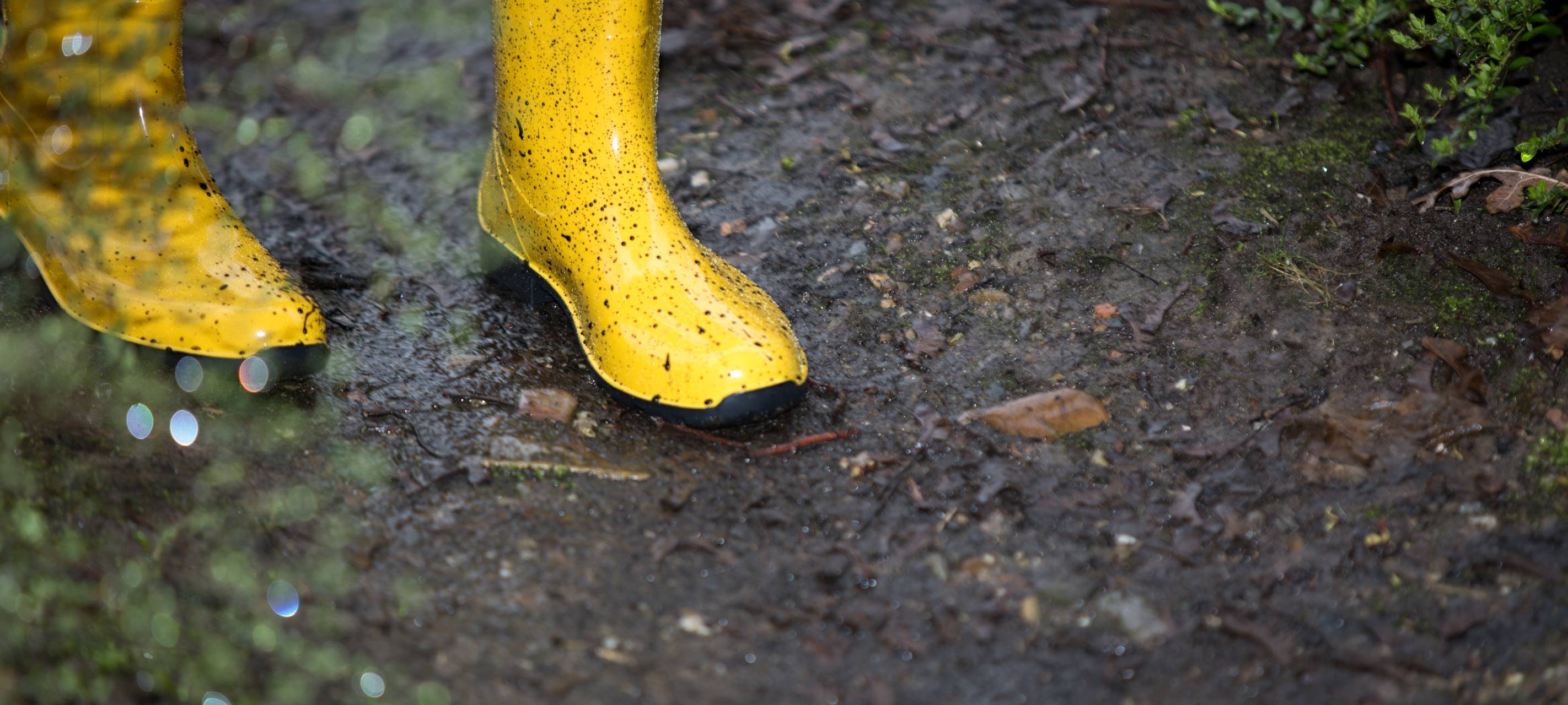 Regen hat dem Boden gutgetan