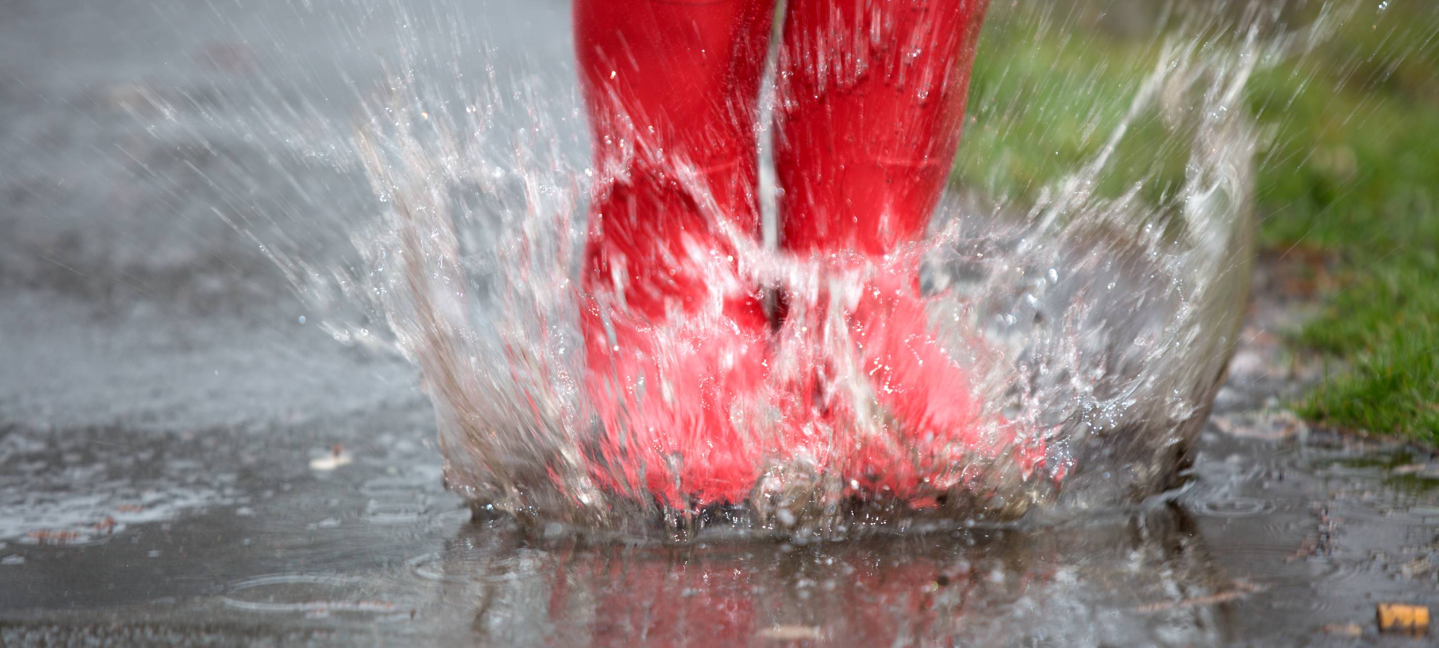 Stadt rechnet nicht mit einem Hochwasser