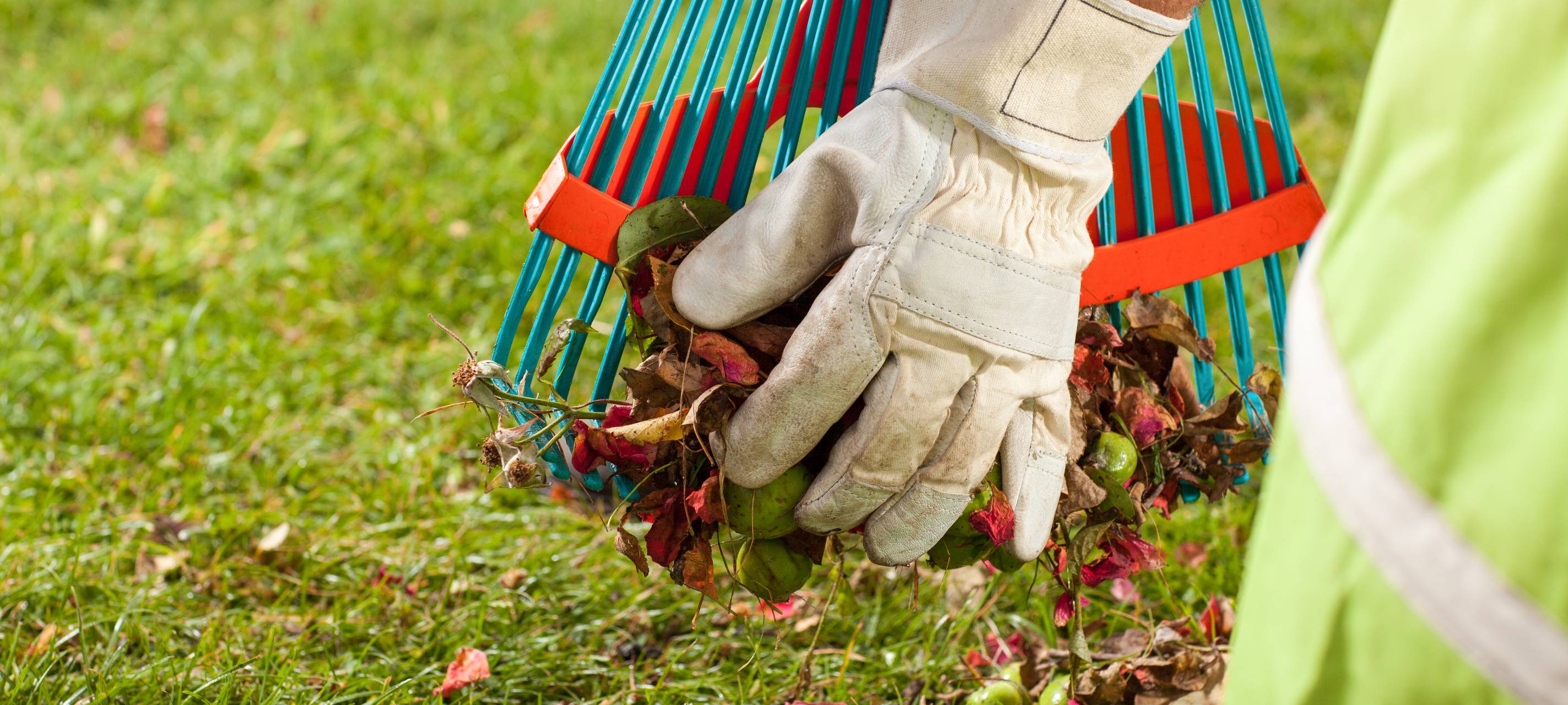 Herbstlaubservice verlängert