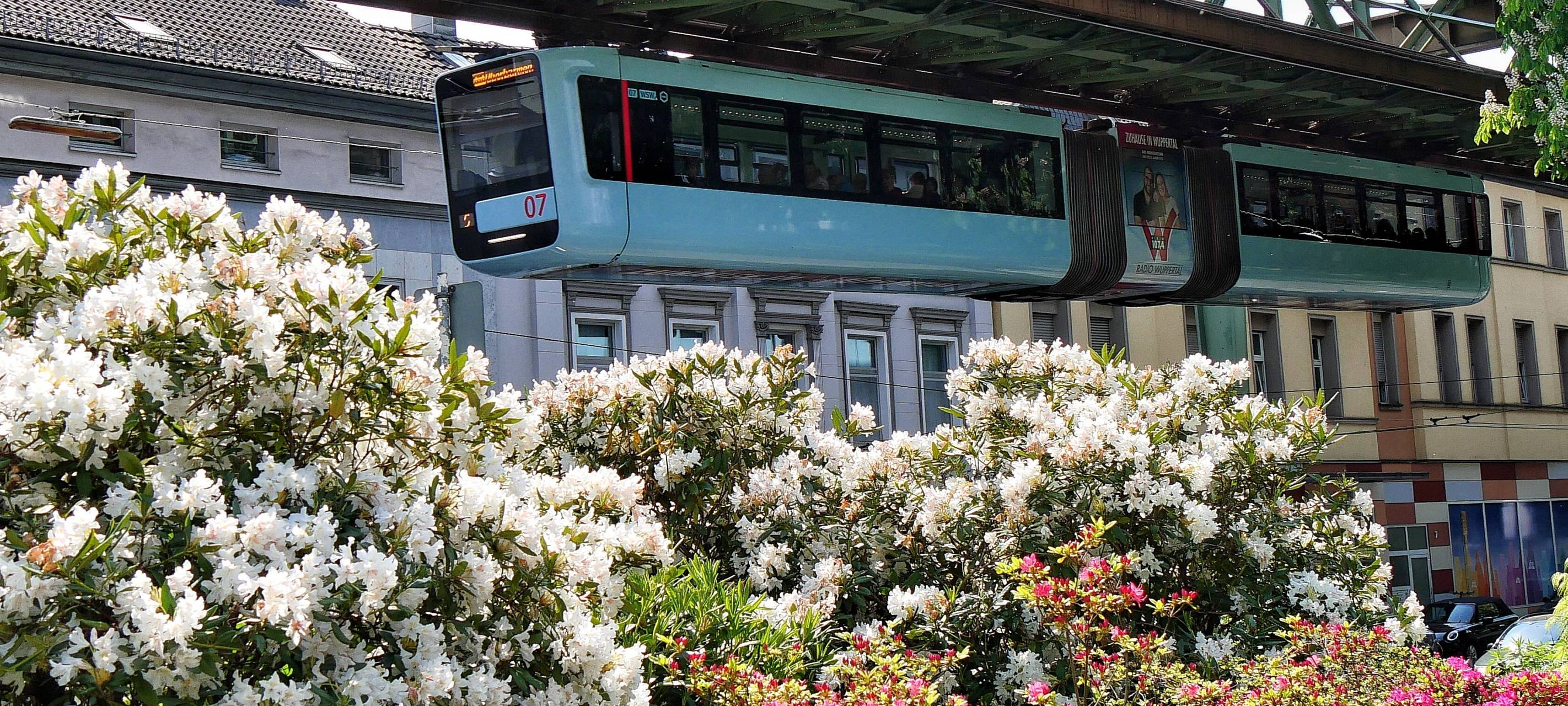 Mehr Fahrgäste dank Deutschlandticket