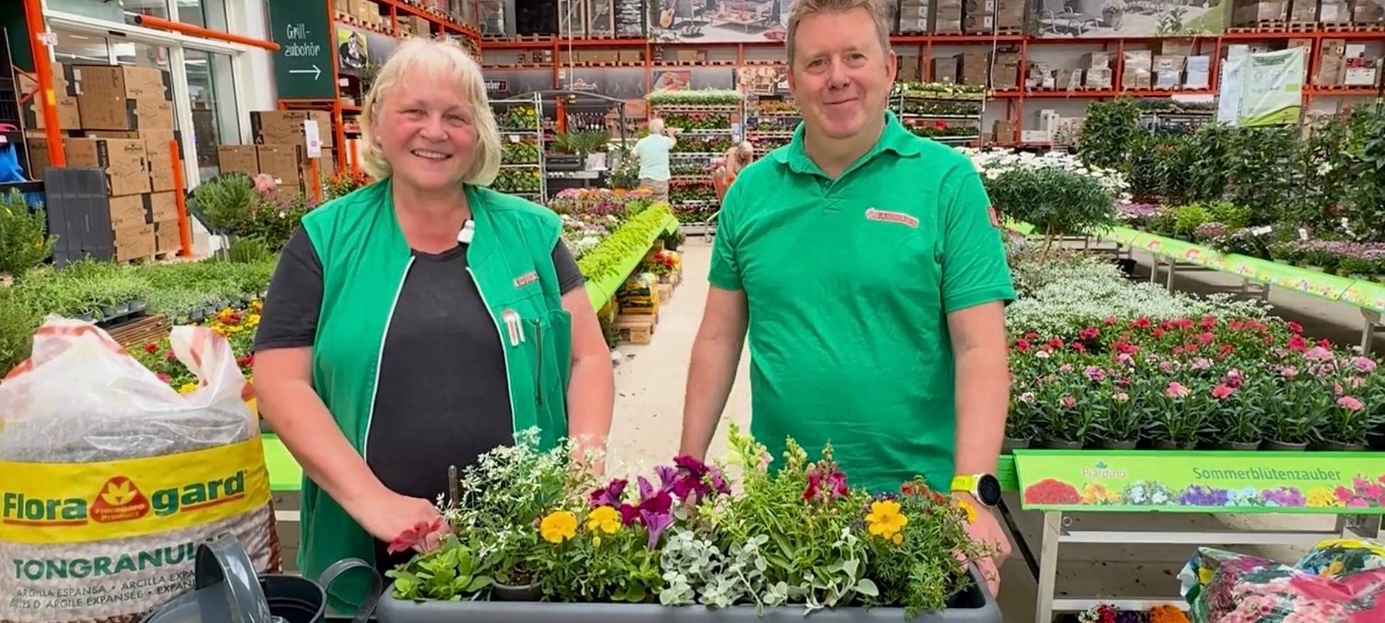 Balkonbepflanzung - alles Wichtige zusammengefasst