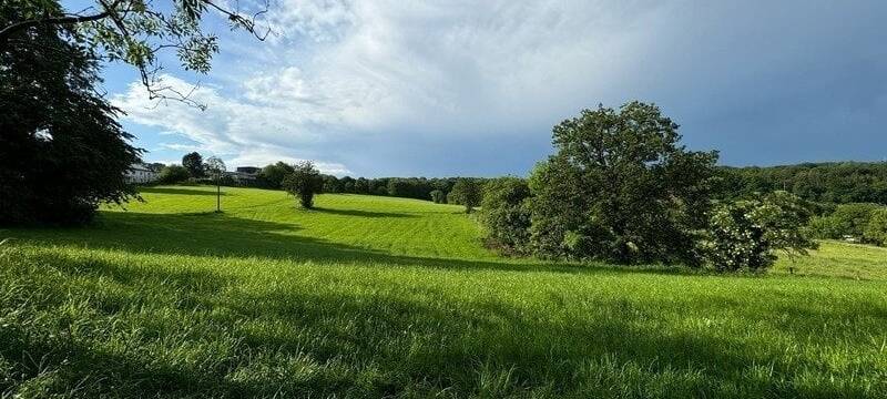 Protest gegen Hipkendahl-Bebauung