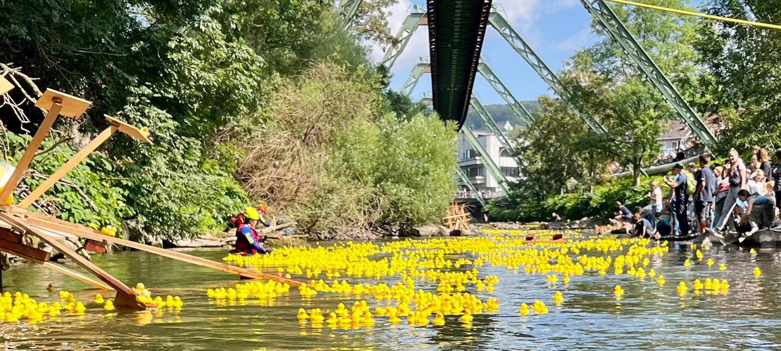 Entenrennen in der Wupper im September