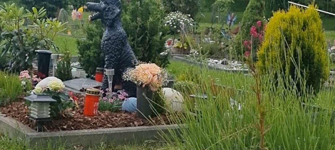 Tierfriedhof