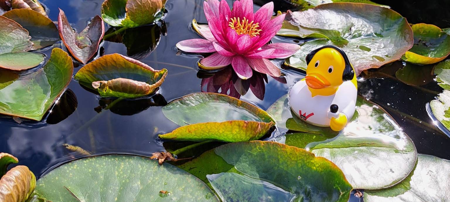 Eure Radio-Wuppertal-Urlaubs-Enten