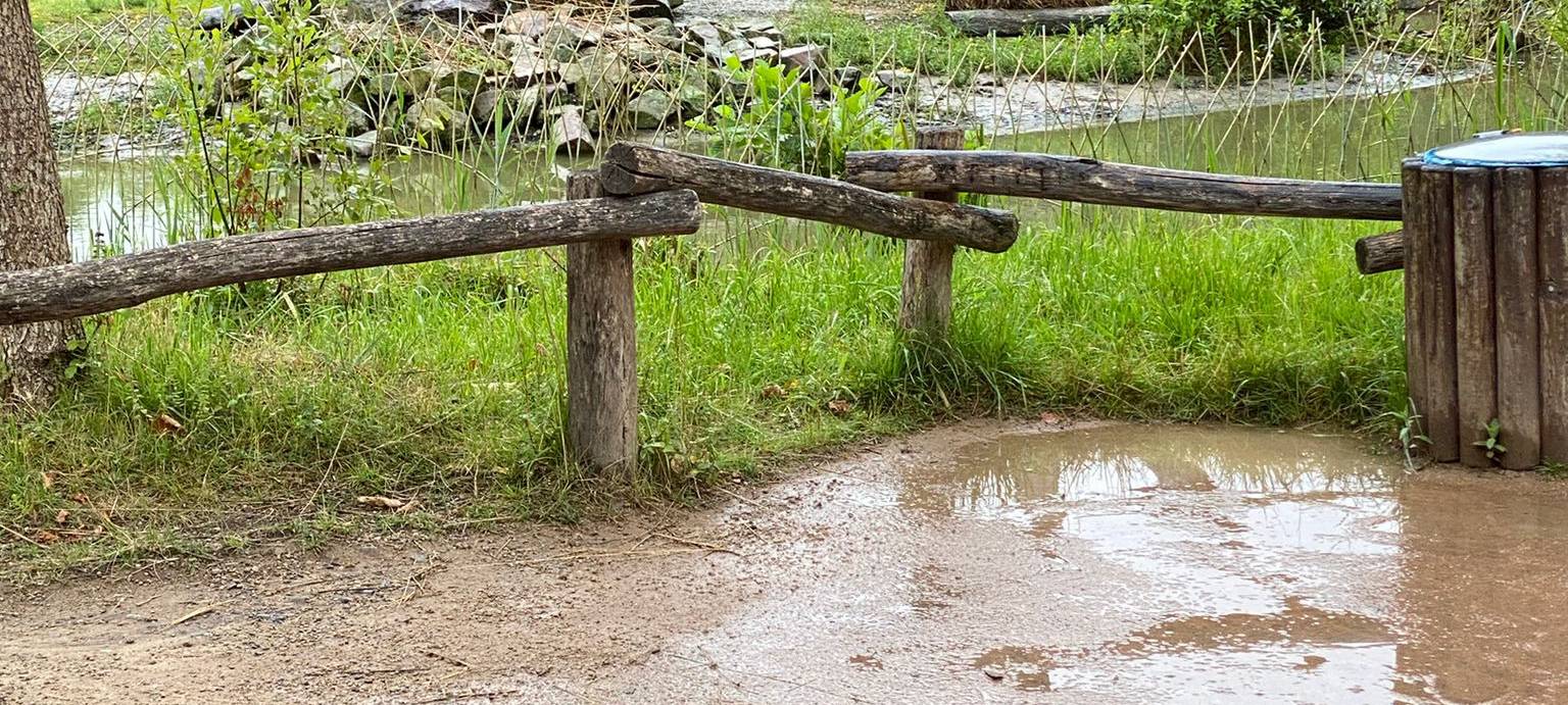 Eure Radio-Wuppertal-Urlaubs-Enten