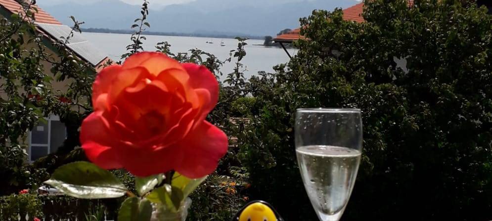 Eure Radio-Wuppertal-Urlaubs-Enten