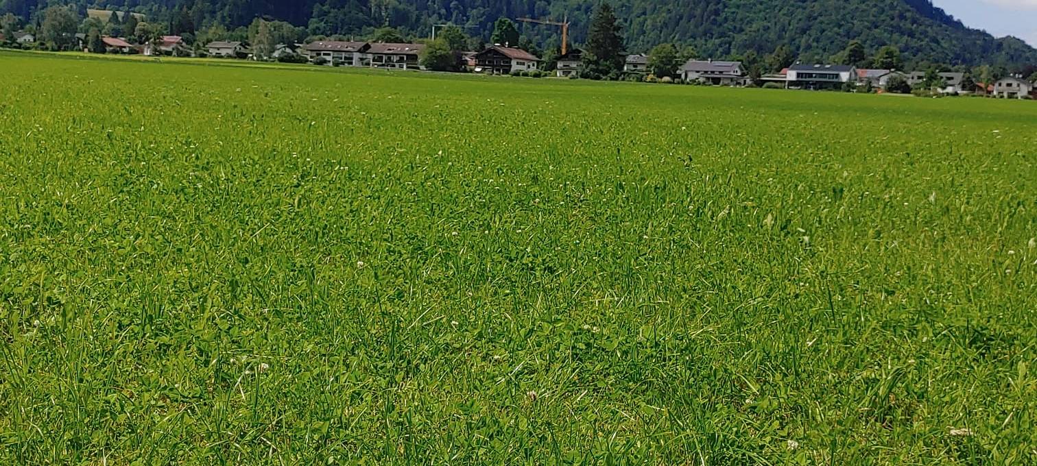 Eure Radio-Wuppertal-Urlaubs-Enten