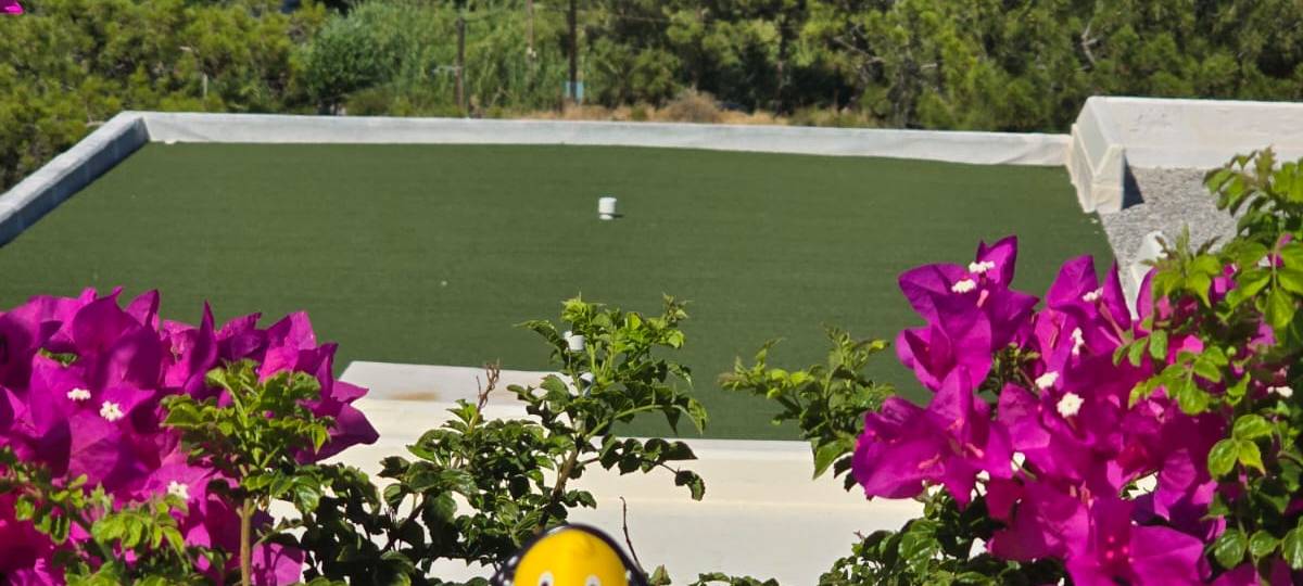 Eure Radio-Wuppertal-Urlaubs-Enten