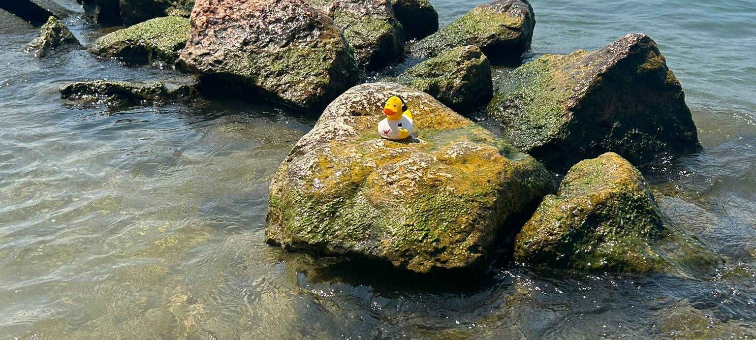 Eure Radio-Wuppertal-Urlaubs-Enten