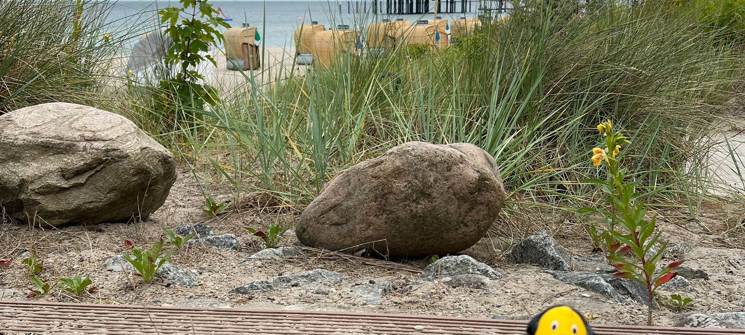 Eure Radio-Wuppertal-Urlaubs-Enten