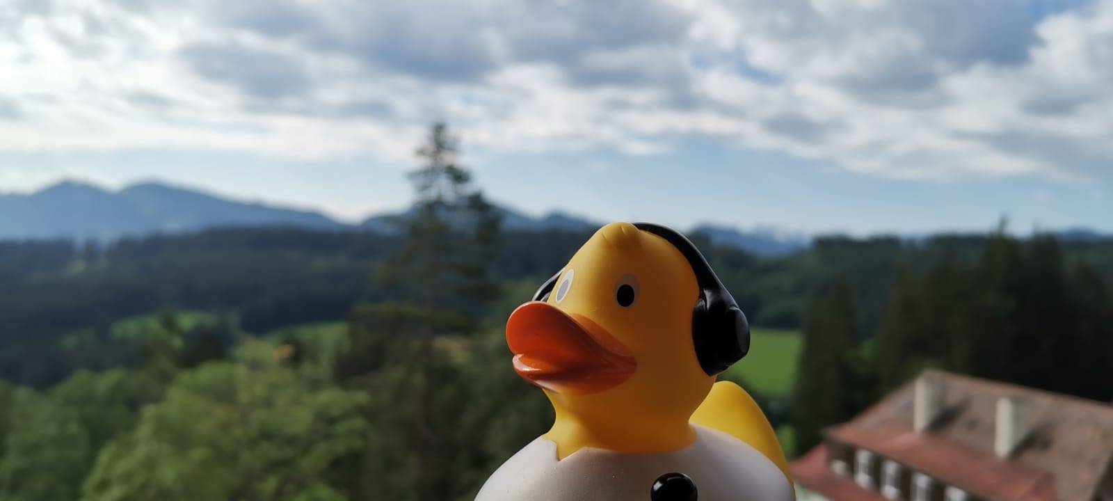 Eure Radio-Wuppertal-Urlaubs-Enten