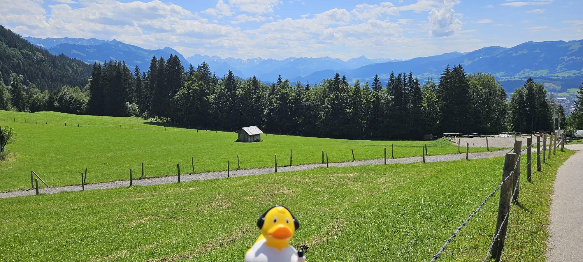 Eure Radio-Wuppertal-Urlaubs-Enten