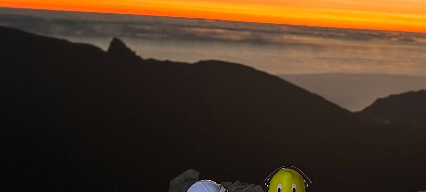 Eure Radio-Wuppertal-Urlaubs-Enten