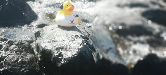 Eure Radio-Wuppertal-Urlaubs-Enten