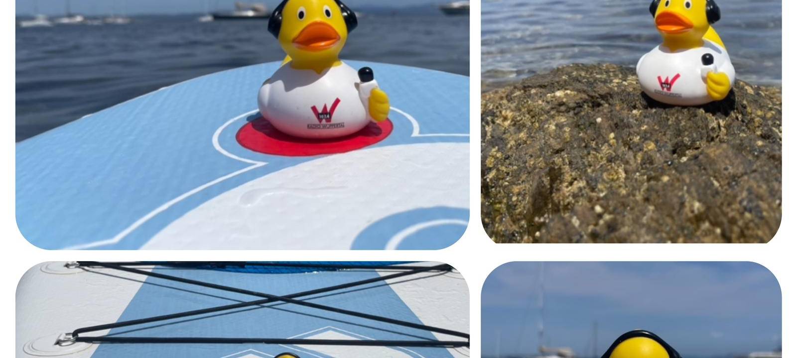 Eure Radio-Wuppertal-Urlaubs-Enten