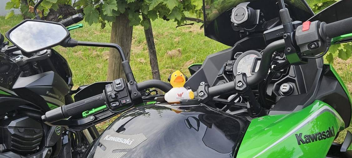 Eure Radio-Wuppertal-Urlaubs-Enten