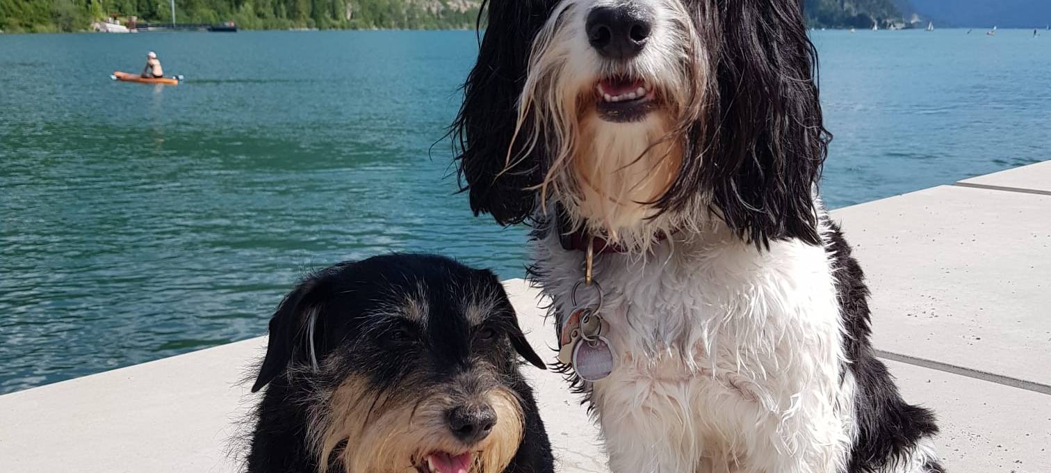 Eure Radio-Wuppertal-Urlaubs-Enten