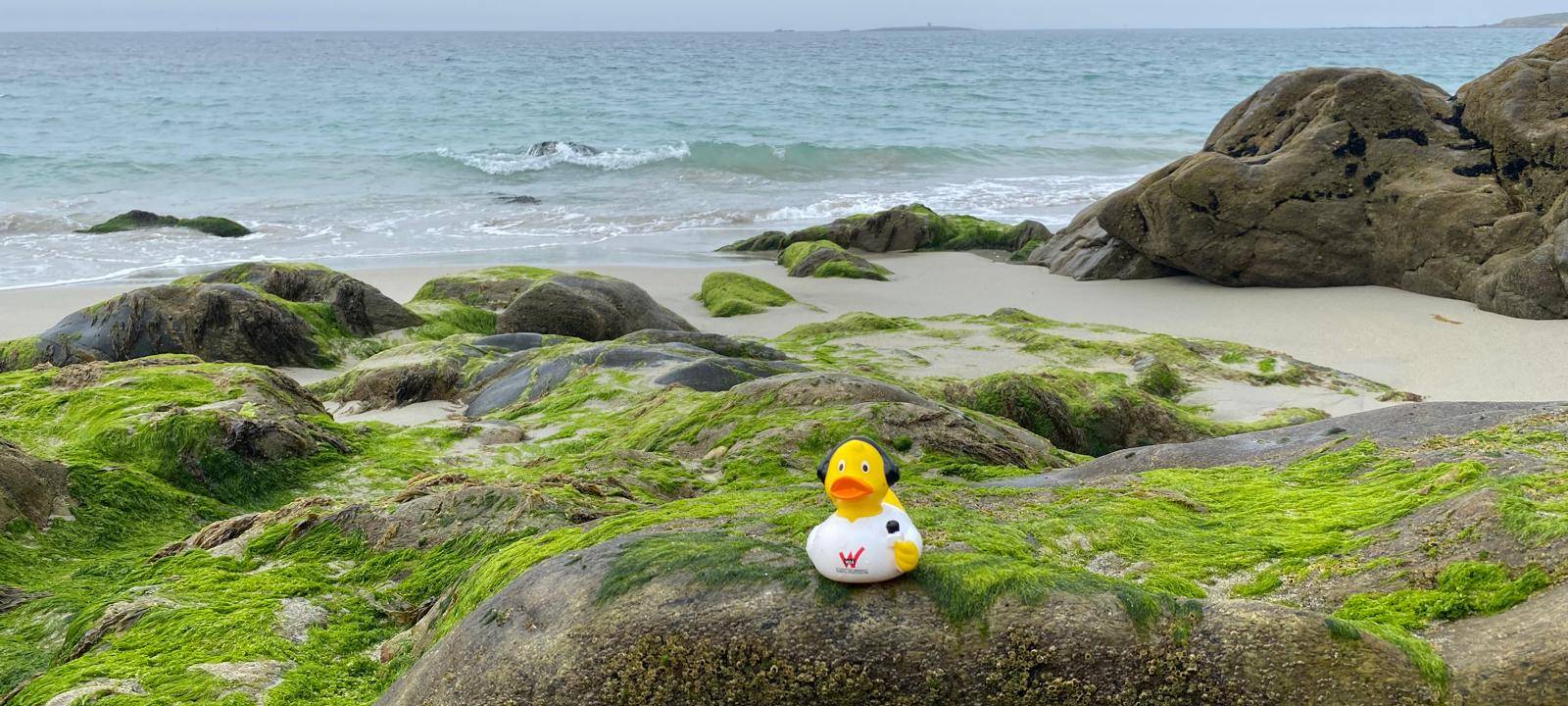 Eure Radio-Wuppertal-Urlaubs-Enten