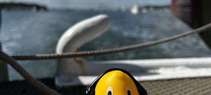 Eure Radio-Wuppertal-Urlaubs-Enten