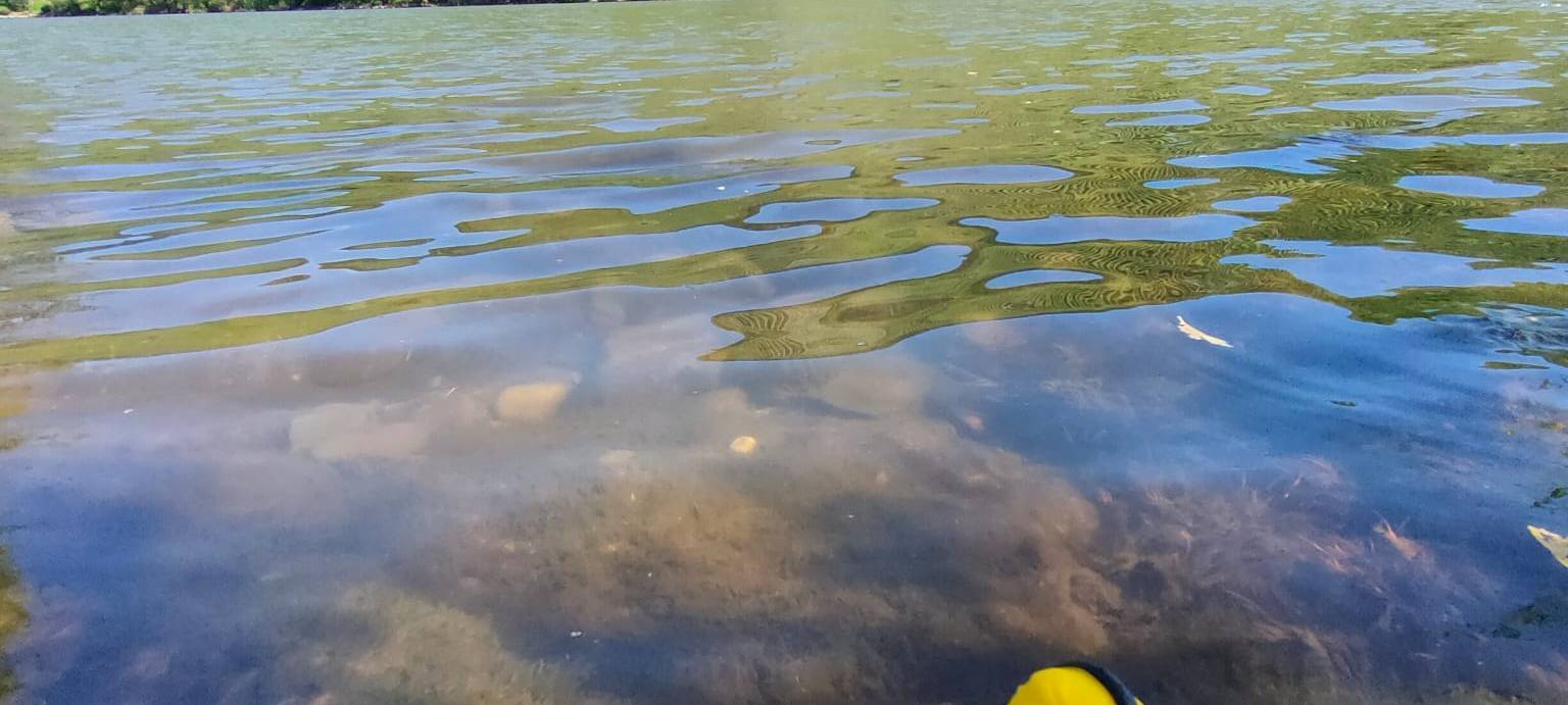 Eure Radio-Wuppertal-Urlaubs-Enten