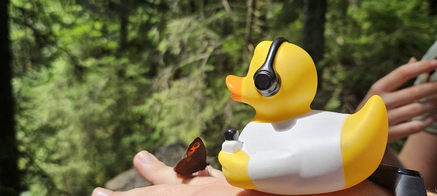 Eure Radio-Wuppertal-Urlaubs-Enten