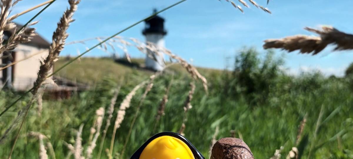 Eure Radio-Wuppertal-Urlaubs-Enten