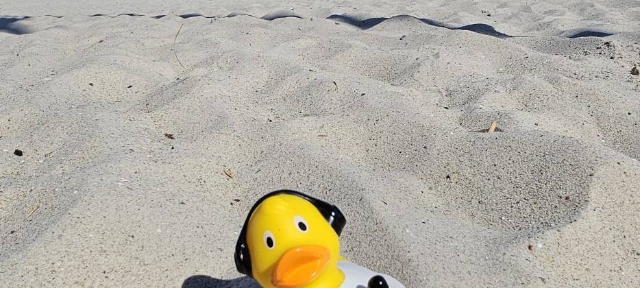 Eure Radio-Wuppertal-Urlaubs-Enten