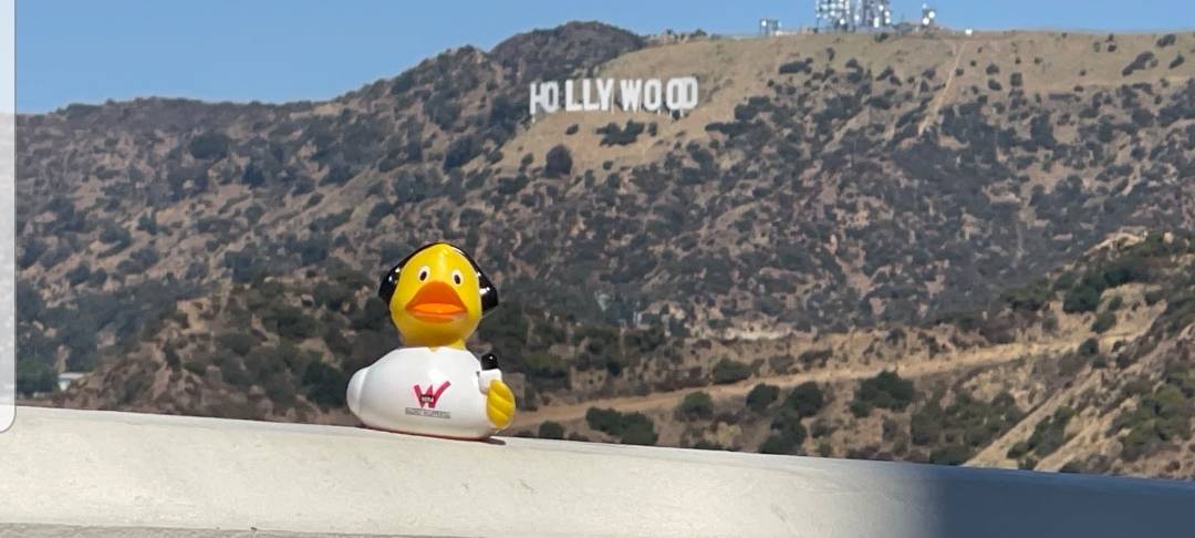 Eure Radio-Wuppertal-Urlaubs-Enten