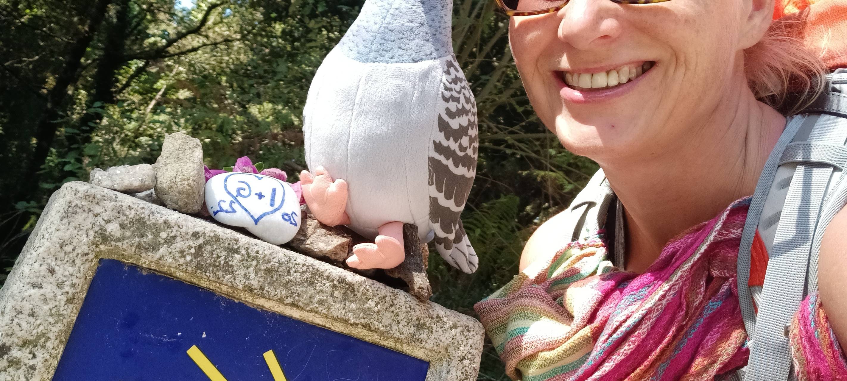 Spendenwanderung für die Taubenhilfe
