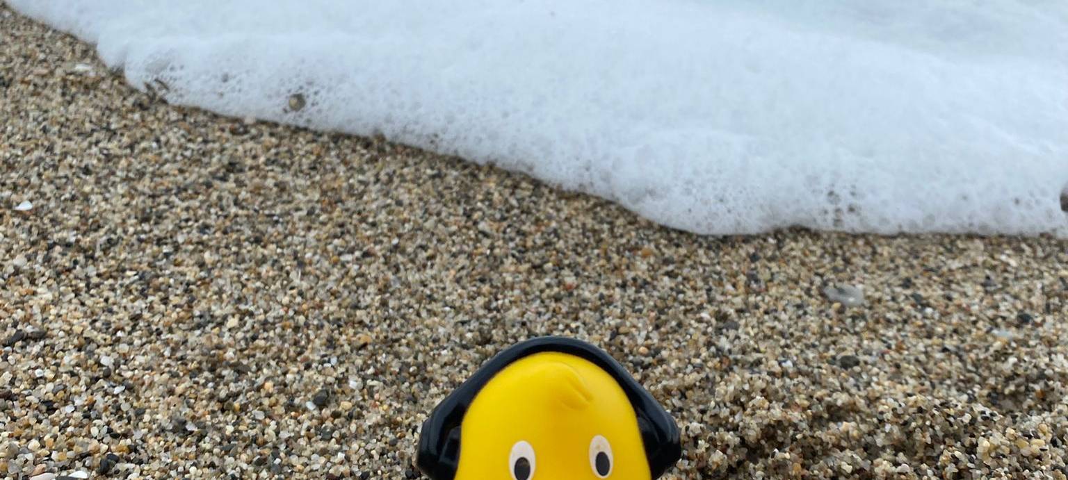 Eure Radio-Wuppertal-Urlaubs-Enten