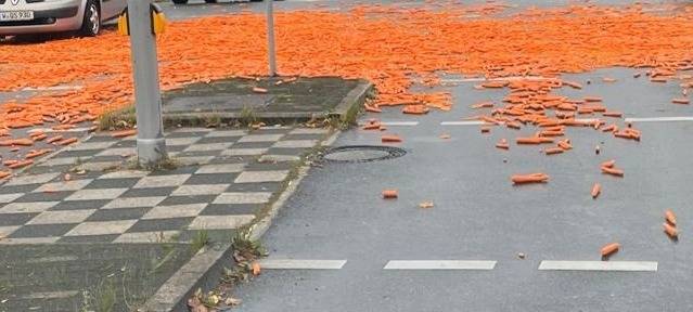 Stange brach unter Möhrengewicht