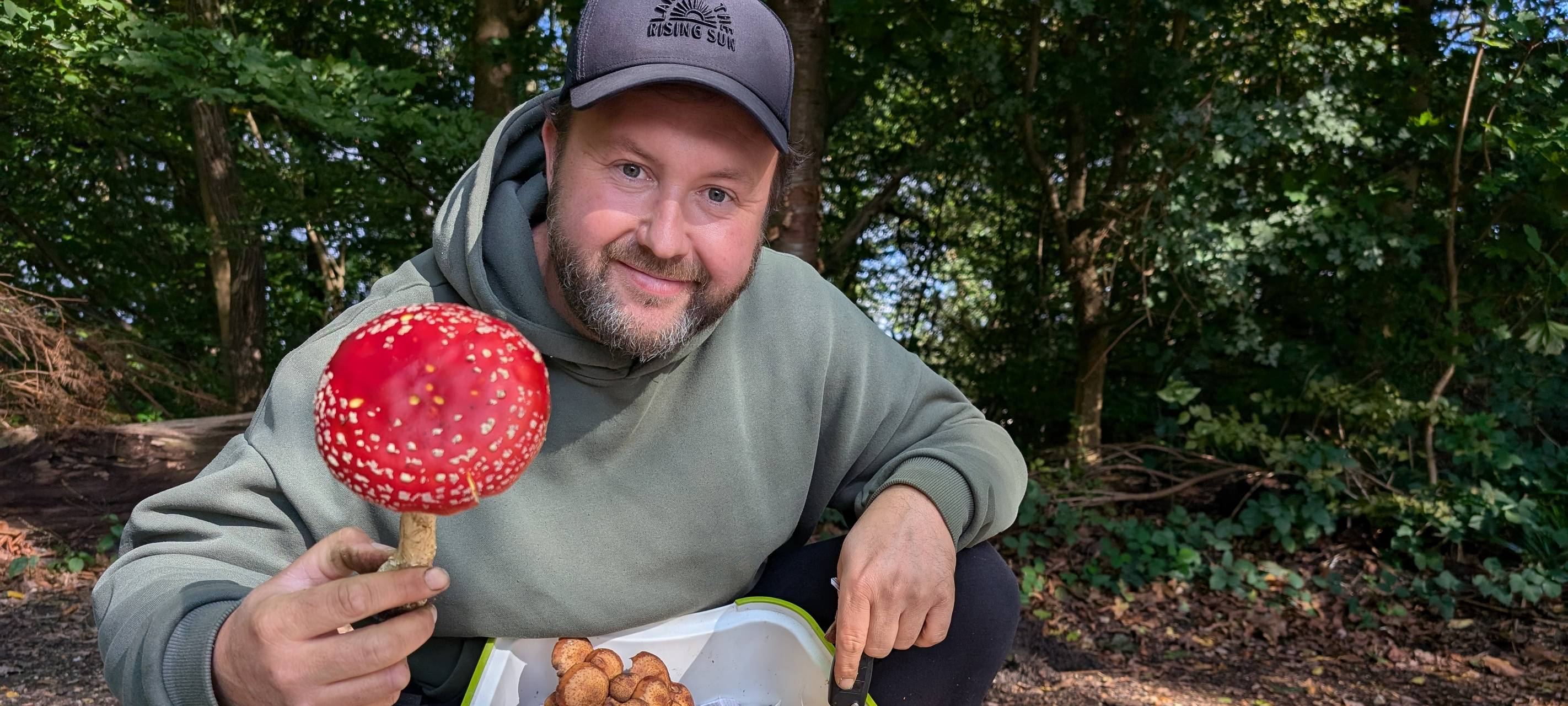 Pilze sammlen: Auf diese Gefahren müsst ihr achten